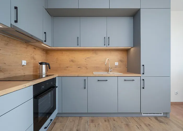 Apartment 1-bedroom With Parking & Balcony By Renters *